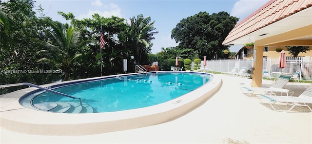 view of pool featuring a patio