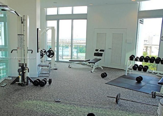 workout area with carpet floors