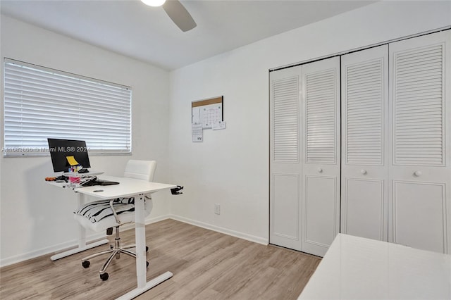 office area with light hardwood / wood-style floors and ceiling fan