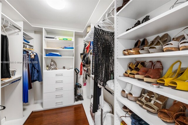 walk in closet featuring dark hardwood / wood-style floors