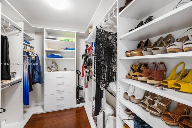 walk in closet with dark hardwood / wood-style floors