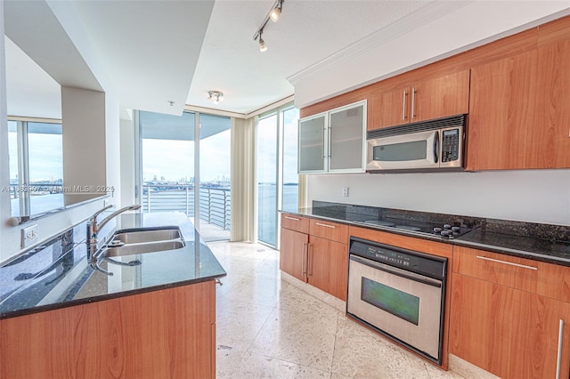 kitchen with sink, dark stone counters, appliances with stainless steel finishes, expansive windows, and a water view