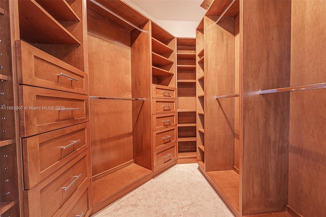 view of walk in closet