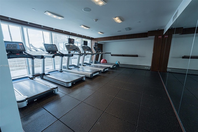 workout area featuring a healthy amount of sunlight