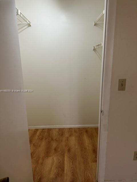 walk in closet with light wood-type flooring