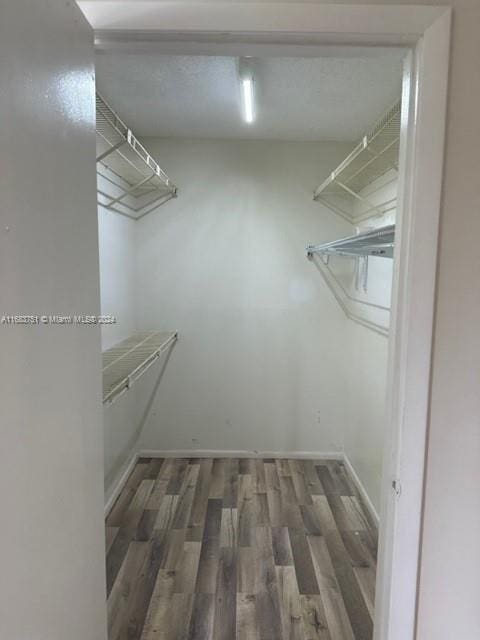 walk in closet with dark hardwood / wood-style flooring