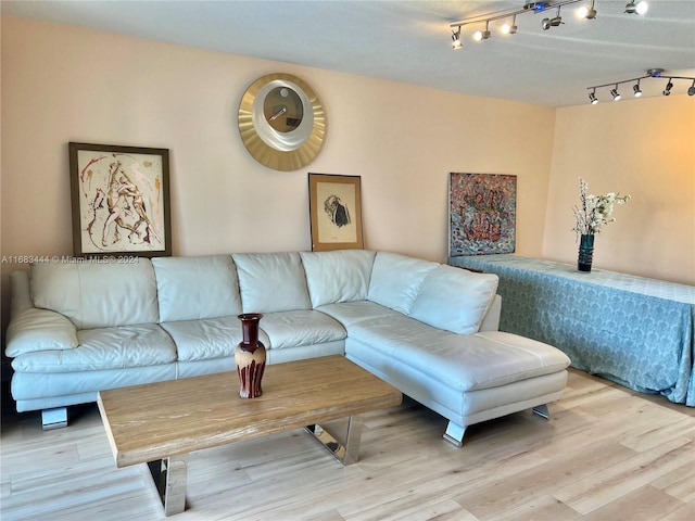 living room with hardwood / wood-style floors