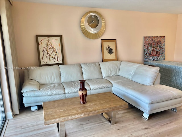 living room featuring light hardwood / wood-style flooring