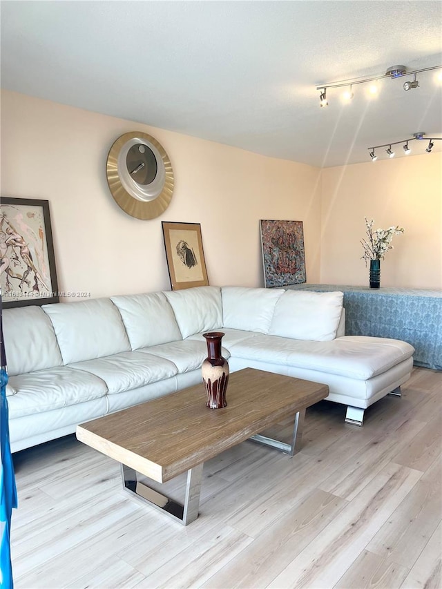 living room with hardwood / wood-style floors