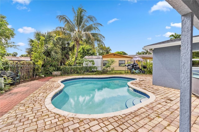 view of swimming pool featuring a patio