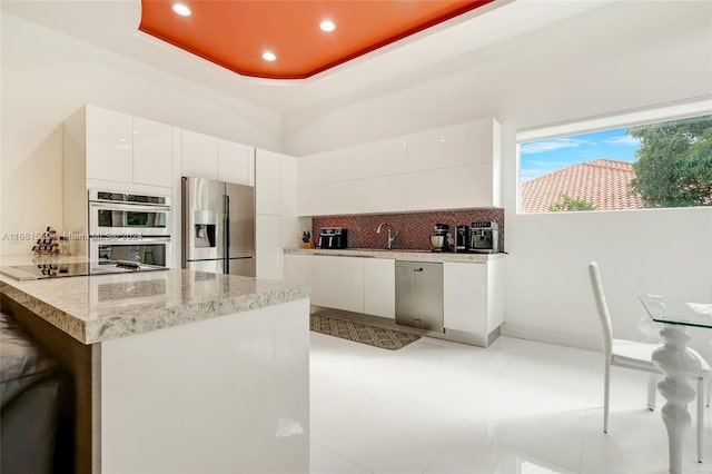 kitchen with a raised ceiling, appliances with stainless steel finishes, and white cabinets