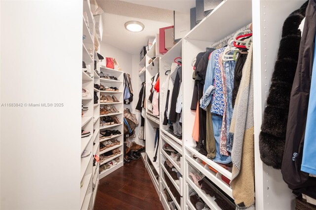 walk in closet featuring dark wood-type flooring