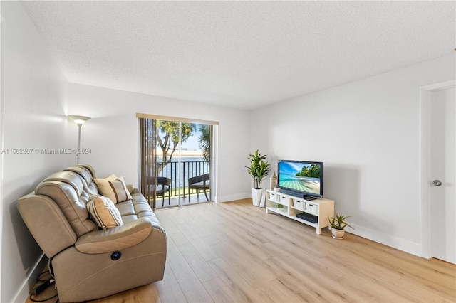 living room with light hardwood / wood-style floors and a textured ceiling