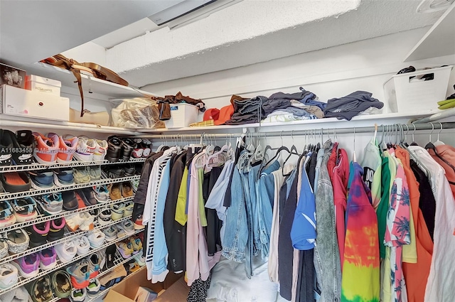 view of spacious closet