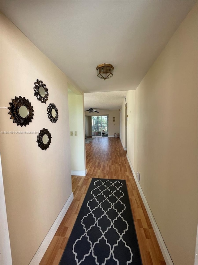 hall featuring wood-type flooring