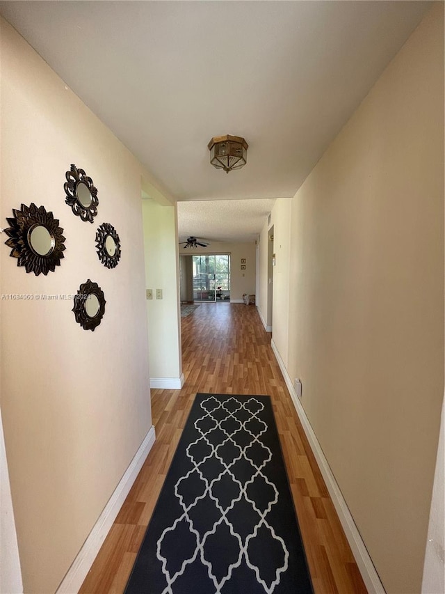 hallway featuring hardwood / wood-style floors