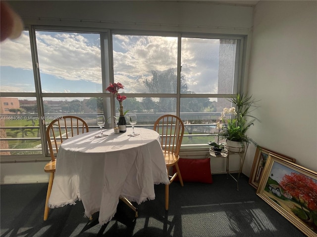 sunroom / solarium with plenty of natural light