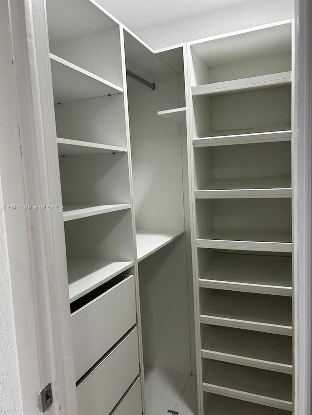 view of spacious closet