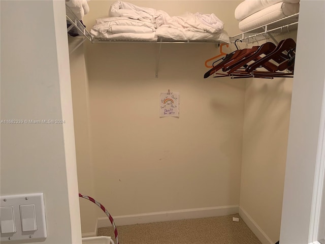 walk in closet with carpet