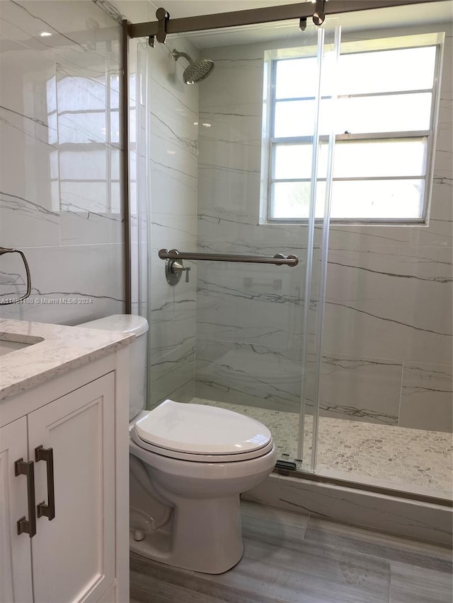 bathroom with toilet, vanity, hardwood / wood-style flooring, and a shower with door