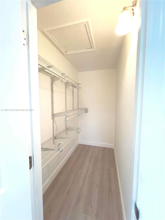 spacious closet featuring light hardwood / wood-style floors