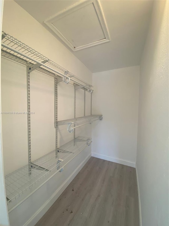 walk in closet featuring wood-type flooring