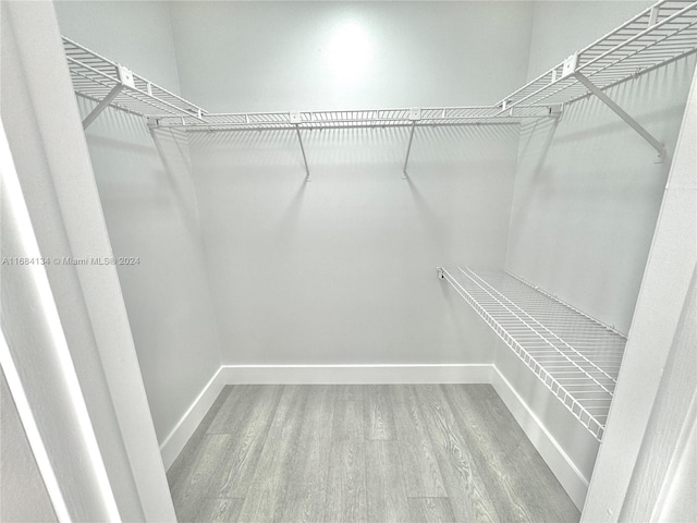 walk in closet with wood-type flooring