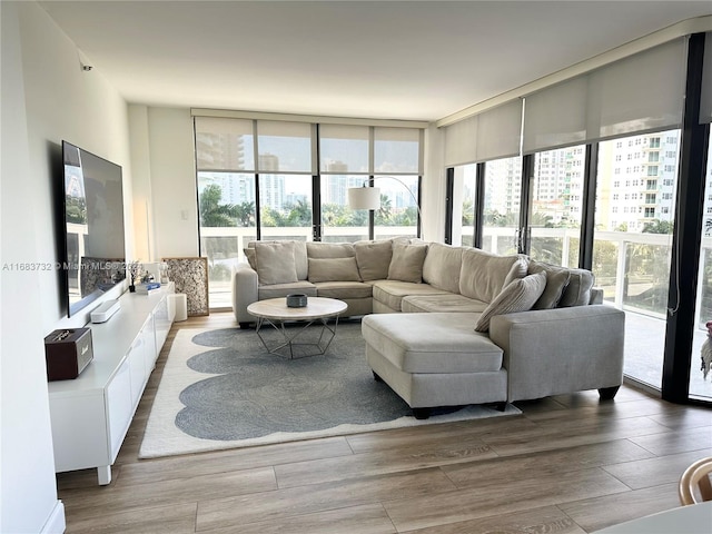 living room with wood-type flooring and floor to ceiling windows