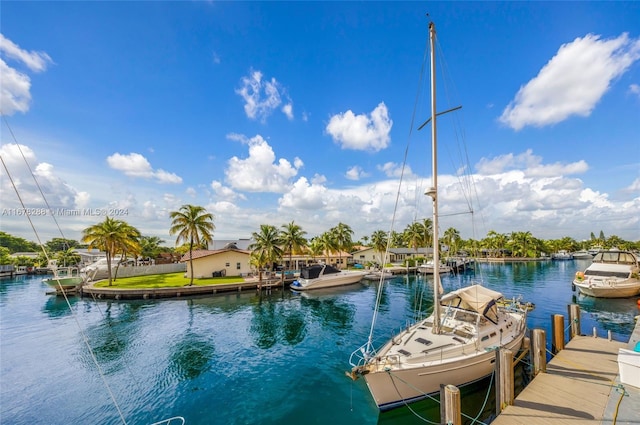 dock area with a water view