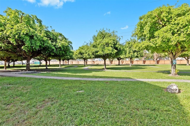 view of community featuring a lawn