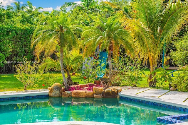 view of swimming pool