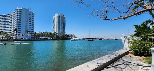 view of water feature