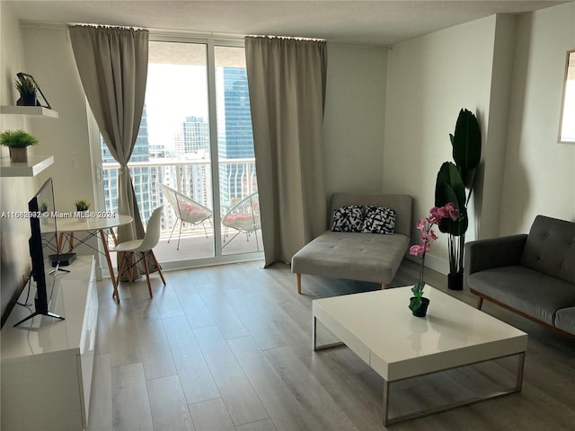 living room with light hardwood / wood-style flooring