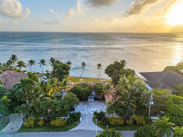 aerial view at dusk with a water view