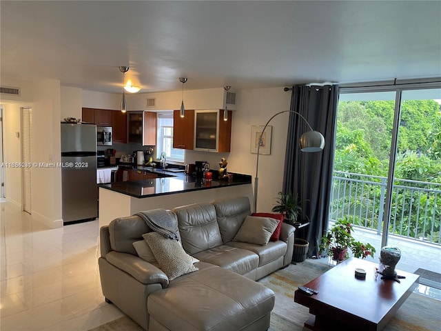 living room featuring sink