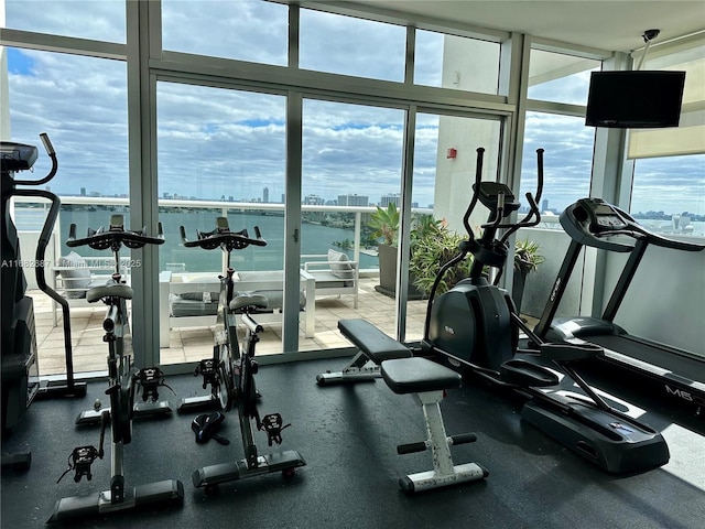 exercise room with plenty of natural light and floor to ceiling windows