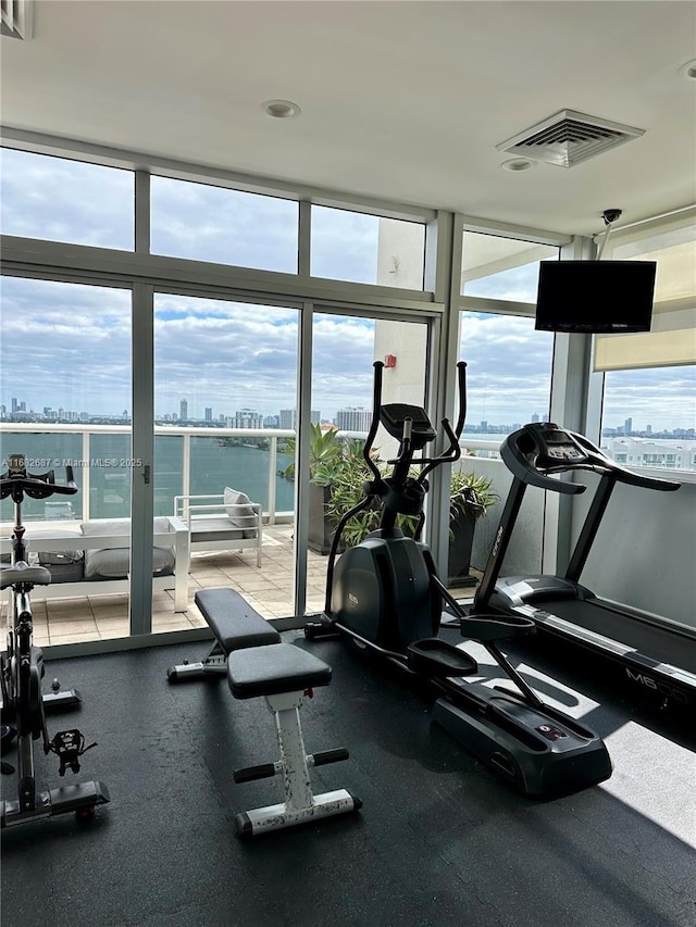 workout area featuring floor to ceiling windows and a wealth of natural light