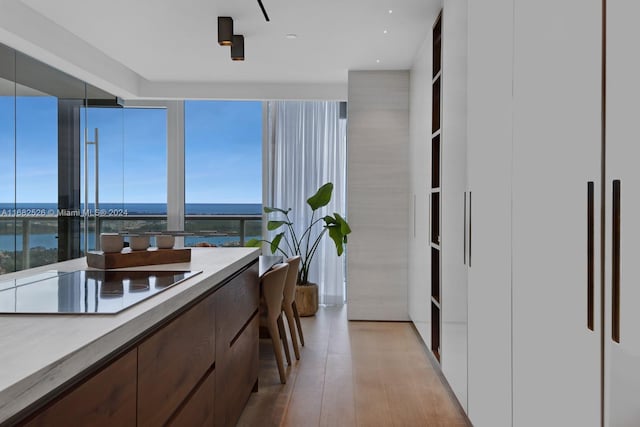 interior space featuring a water view, light hardwood / wood-style floors, and electric stovetop