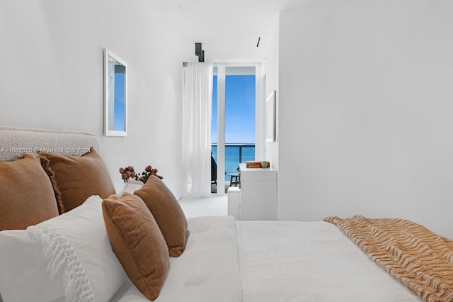 bedroom featuring a water view