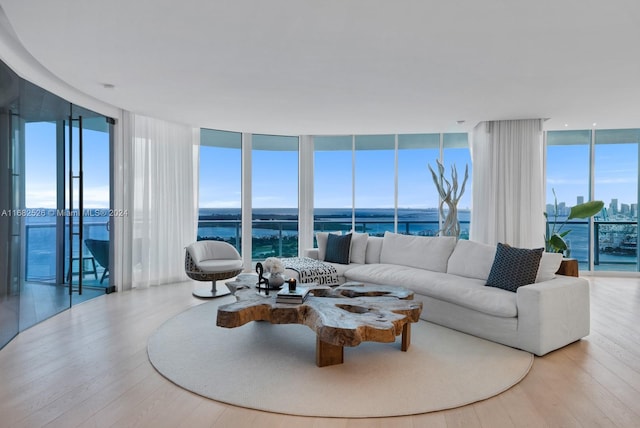 living room featuring light wood-type flooring, expansive windows, and plenty of natural light