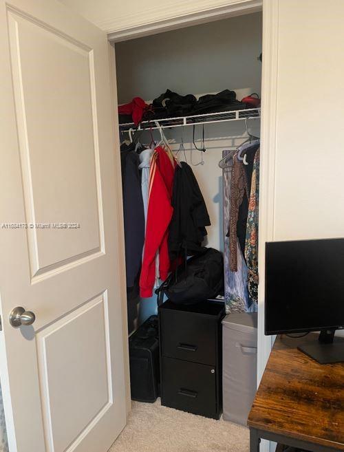 view of closet