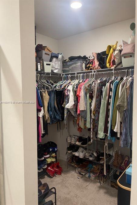 spacious closet with carpet floors