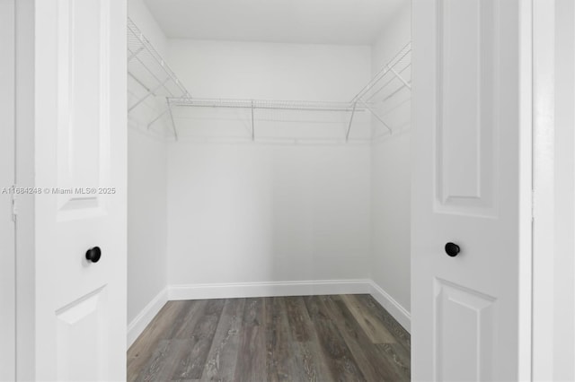 spacious closet featuring dark hardwood / wood-style floors