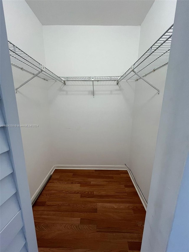 spacious closet with hardwood / wood-style floors