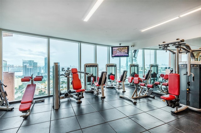 workout area with expansive windows