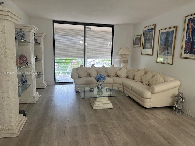 living room with wood-type flooring