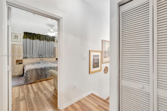 corridor featuring hardwood / wood-style floors