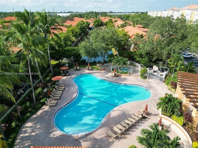 view of swimming pool with a patio