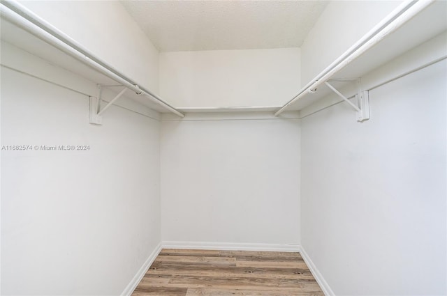 walk in closet with wood-type flooring