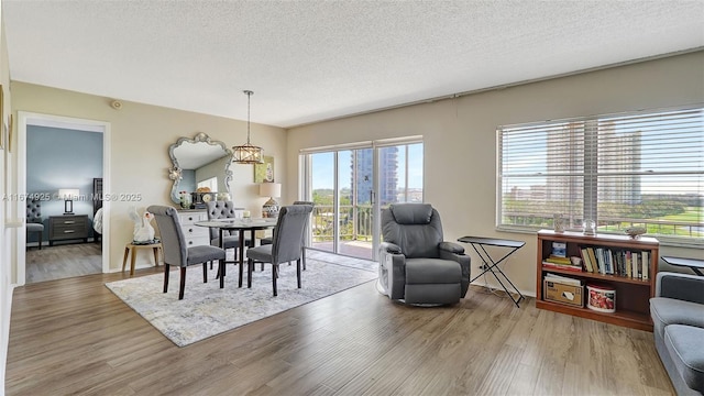 dining space featuring a textured ceiling and wood finished floors